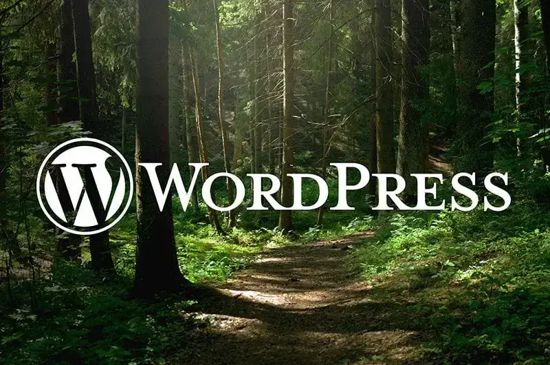 Can a website be sustainable?
